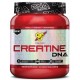 Creatine DNA (309г)